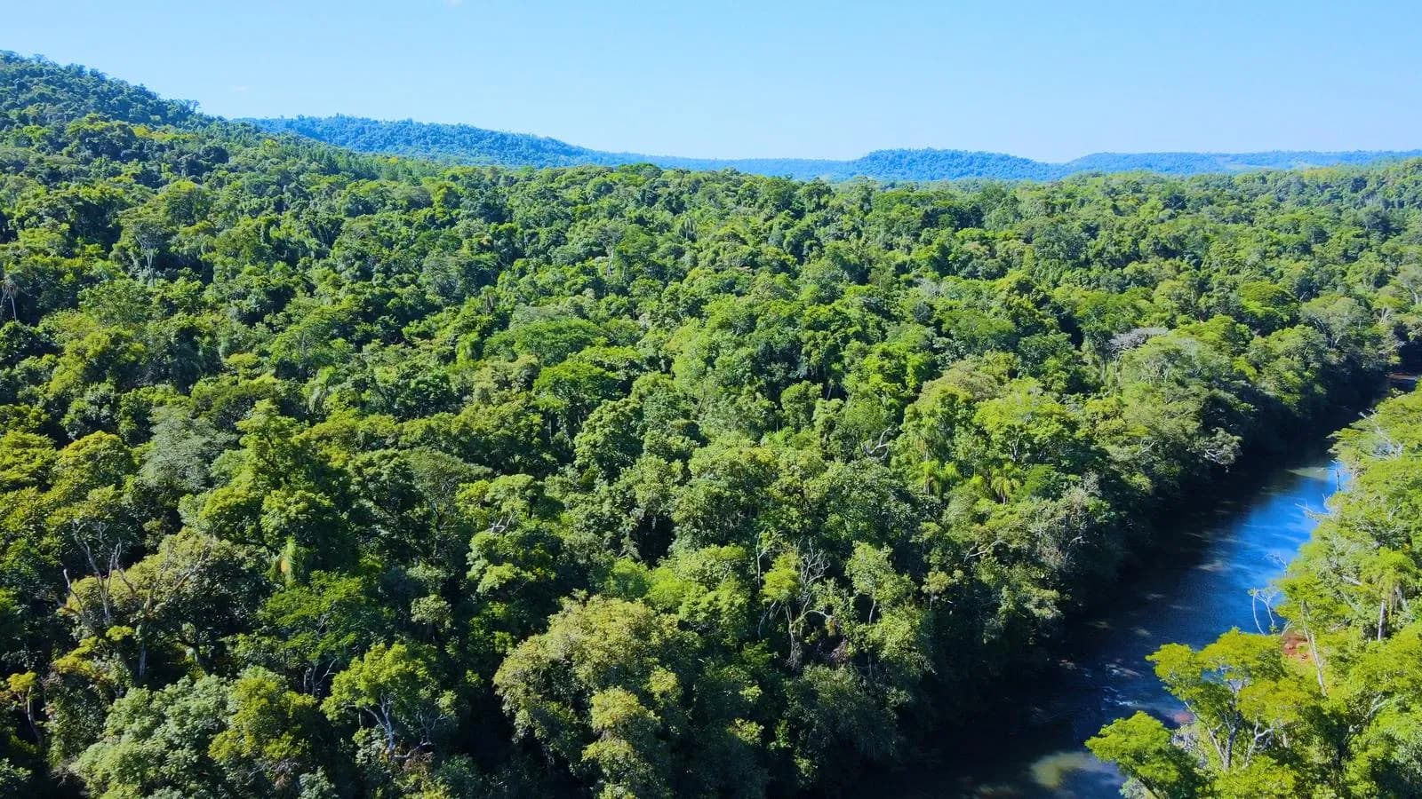 Chacra de 66ha En Venta