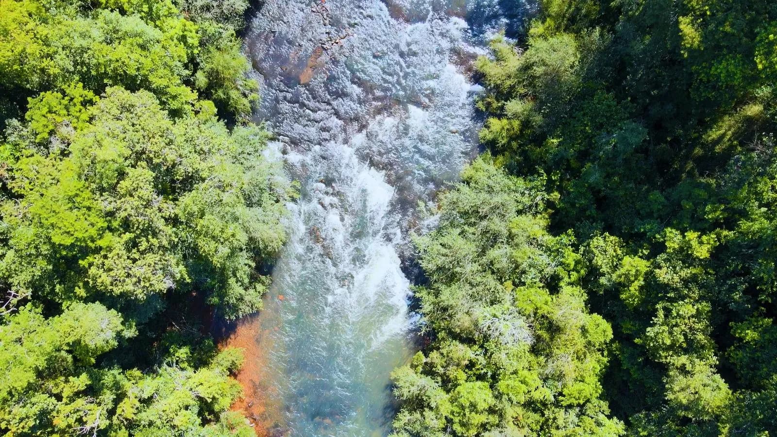 Chacra de 66ha En Venta