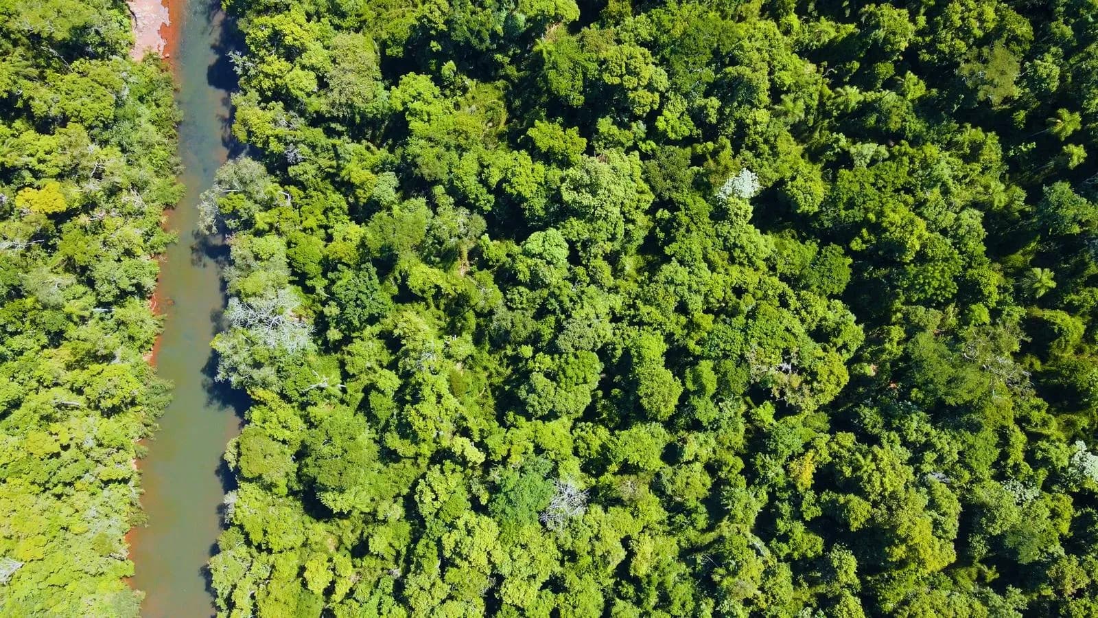 Chacra de 66ha En Venta