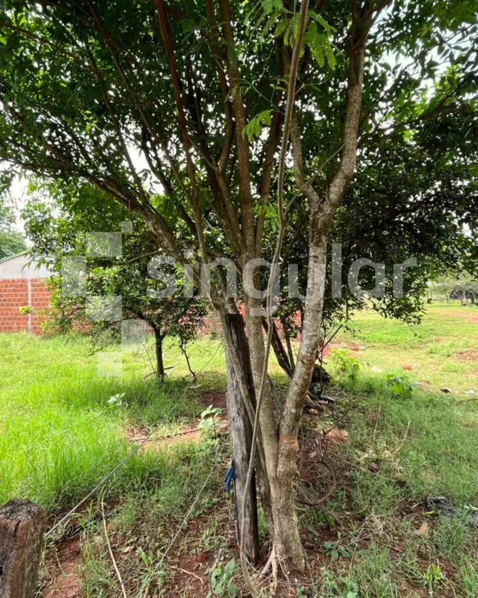 Terreno en Venta