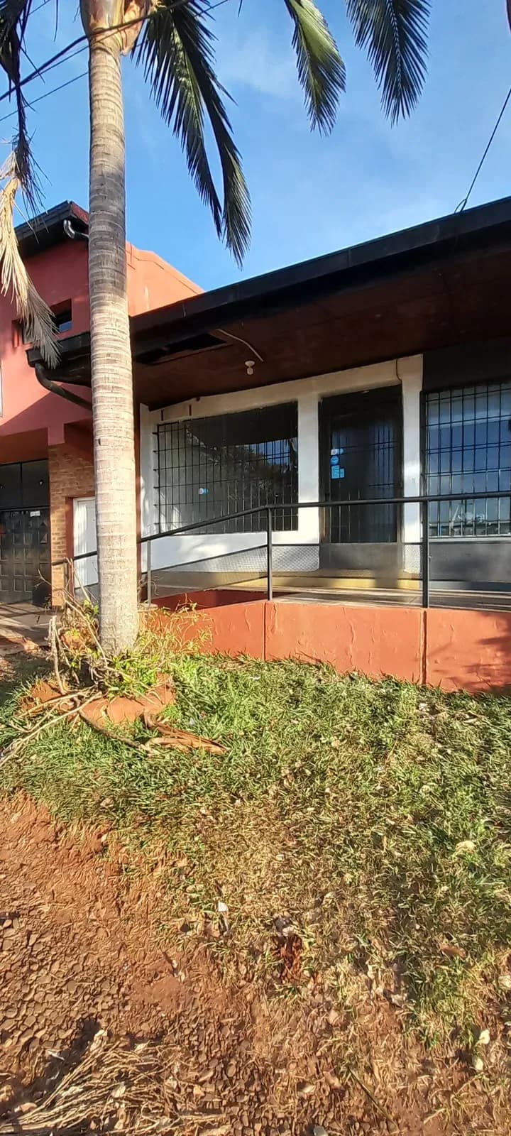 Fachada de casa con palmera
