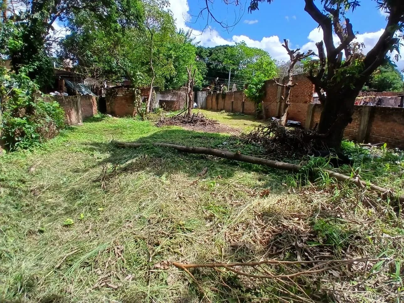 Amplio terreno arbolado con muros