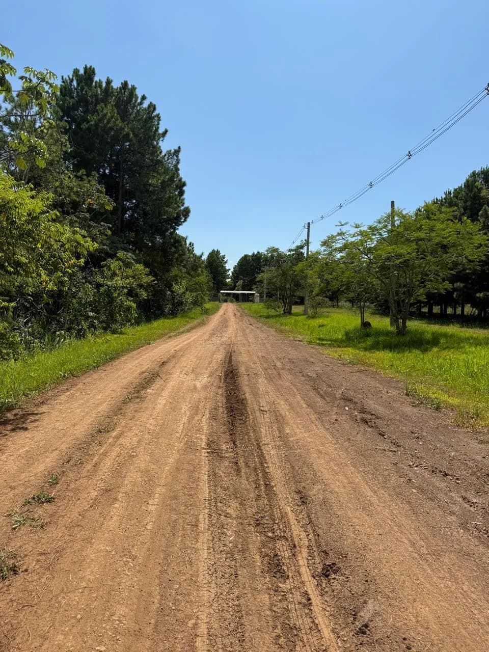 Camino de acceso a propiedad rural