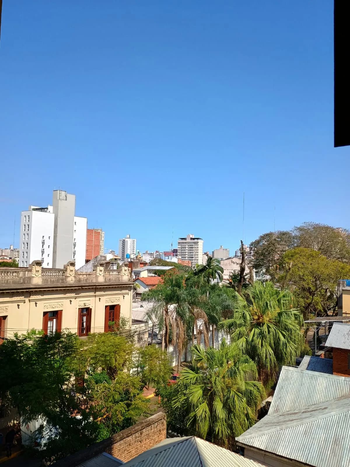 Vista panorámica urbana con vegetación