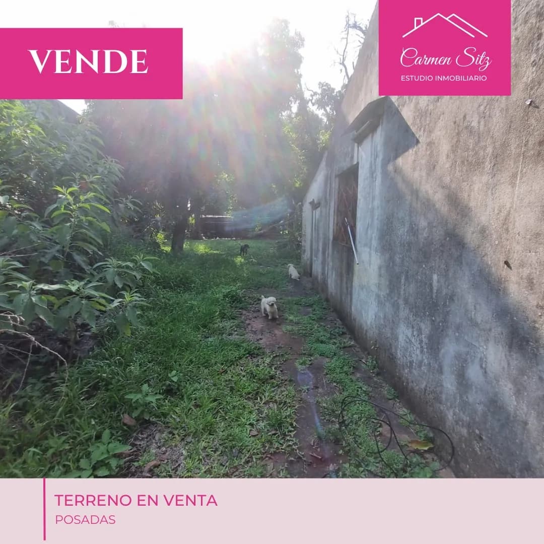 Amplio terreno verde en venta