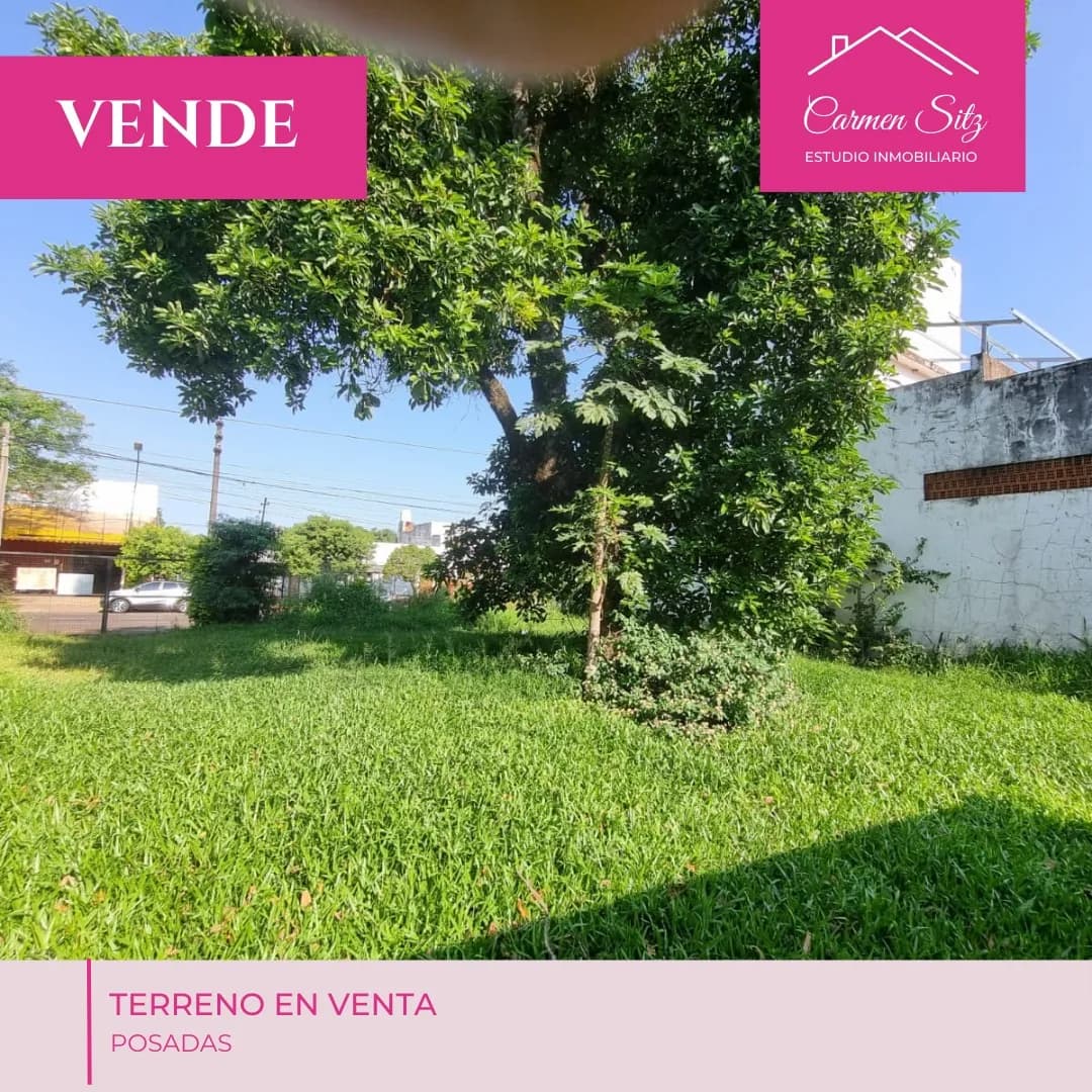 Amplio terreno verde con árboles