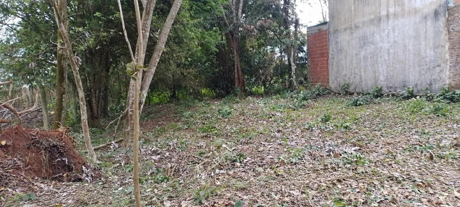 Terreno - Candelaria