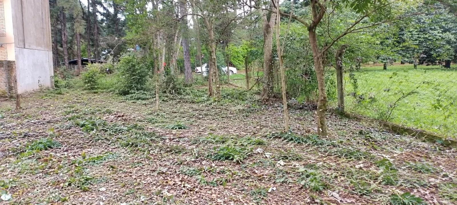 Terreno - Candelaria