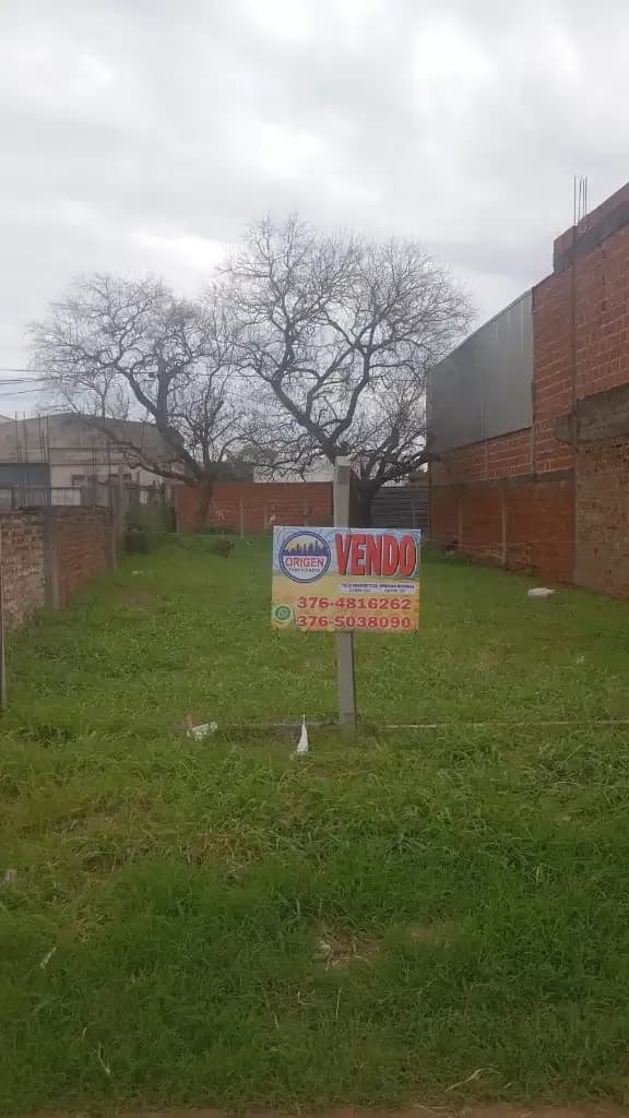 Terreno