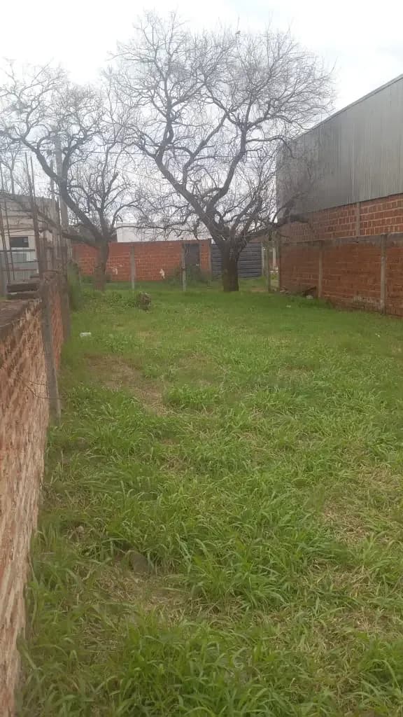 Terreno