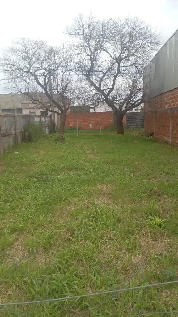 Terreno