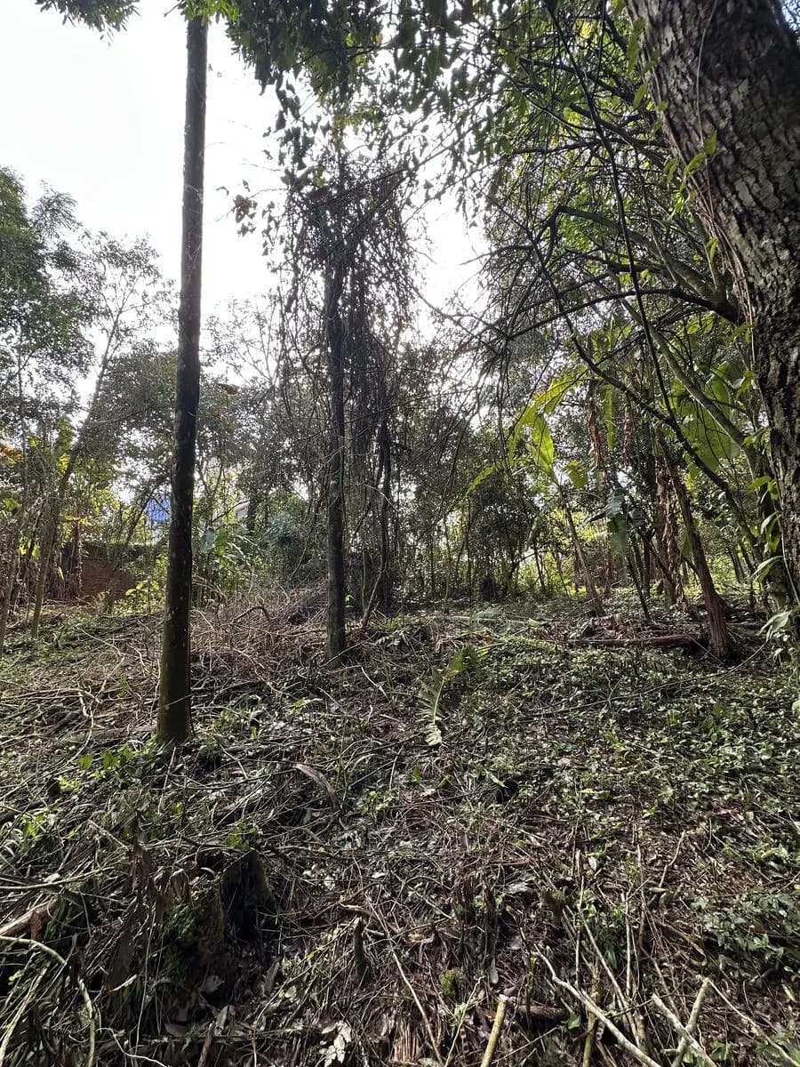 Terreno 20m x 50m - Barrio Agua Potable, El Soberbio