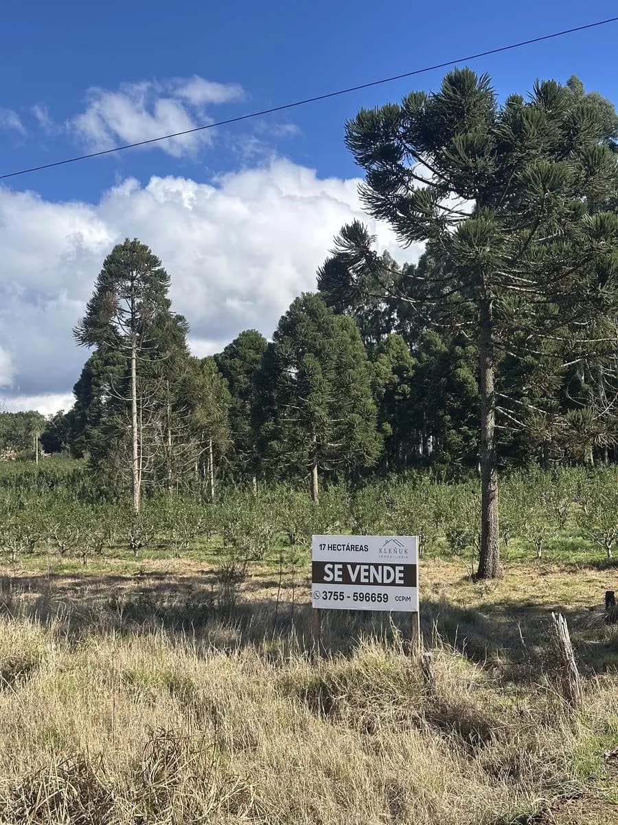 En Venta 17 hectareas sobre Ruta 13 en Zona Urbana, San Vicente, Misiones