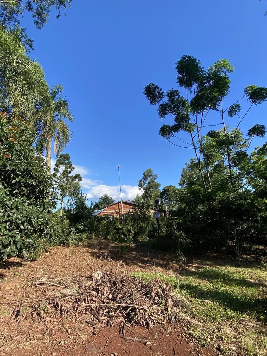 En Venta 17 hectareas sobre Ruta 13 en Zona Urbana, San Vicente, Misiones