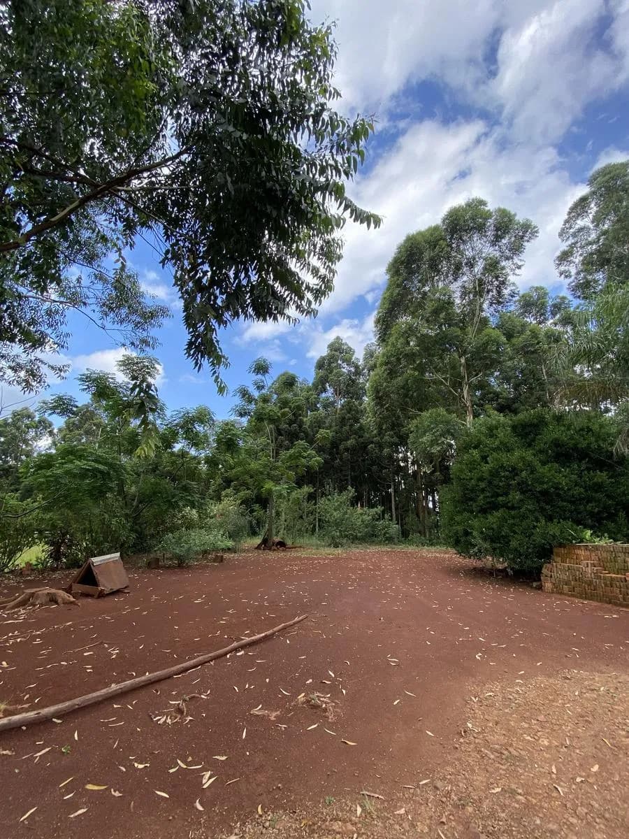 En Venta 17 hectareas sobre Ruta 13 en Zona Urbana, San Vicente, Misiones
