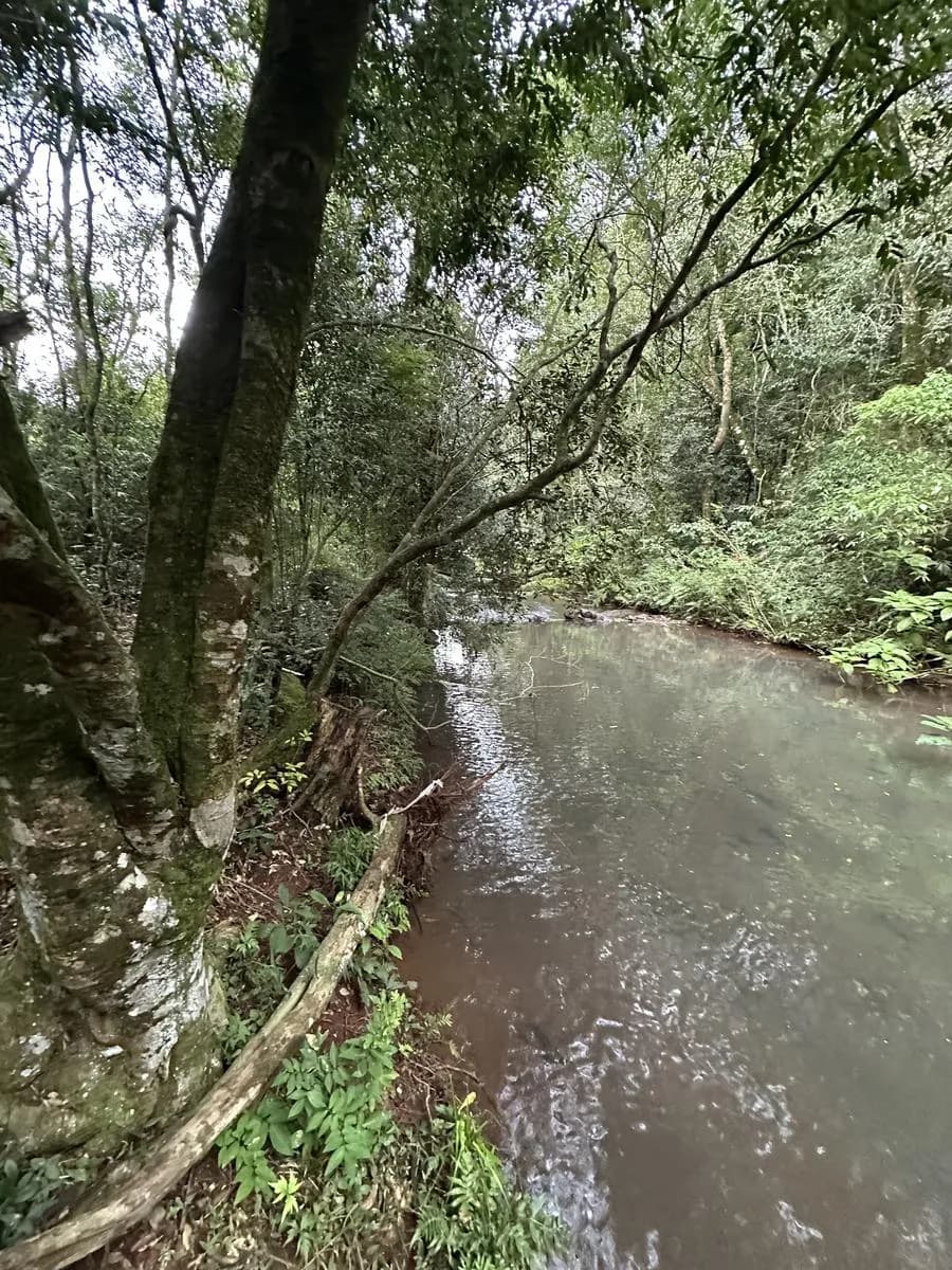 En Venta Chacra de 10 hectareas, Pegado al Parque Salto Encantado, Misiones