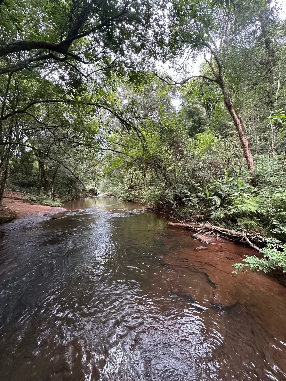 En Venta Chacra de 10 hectareas, Pegado al Parque Salto Encantado, Misiones