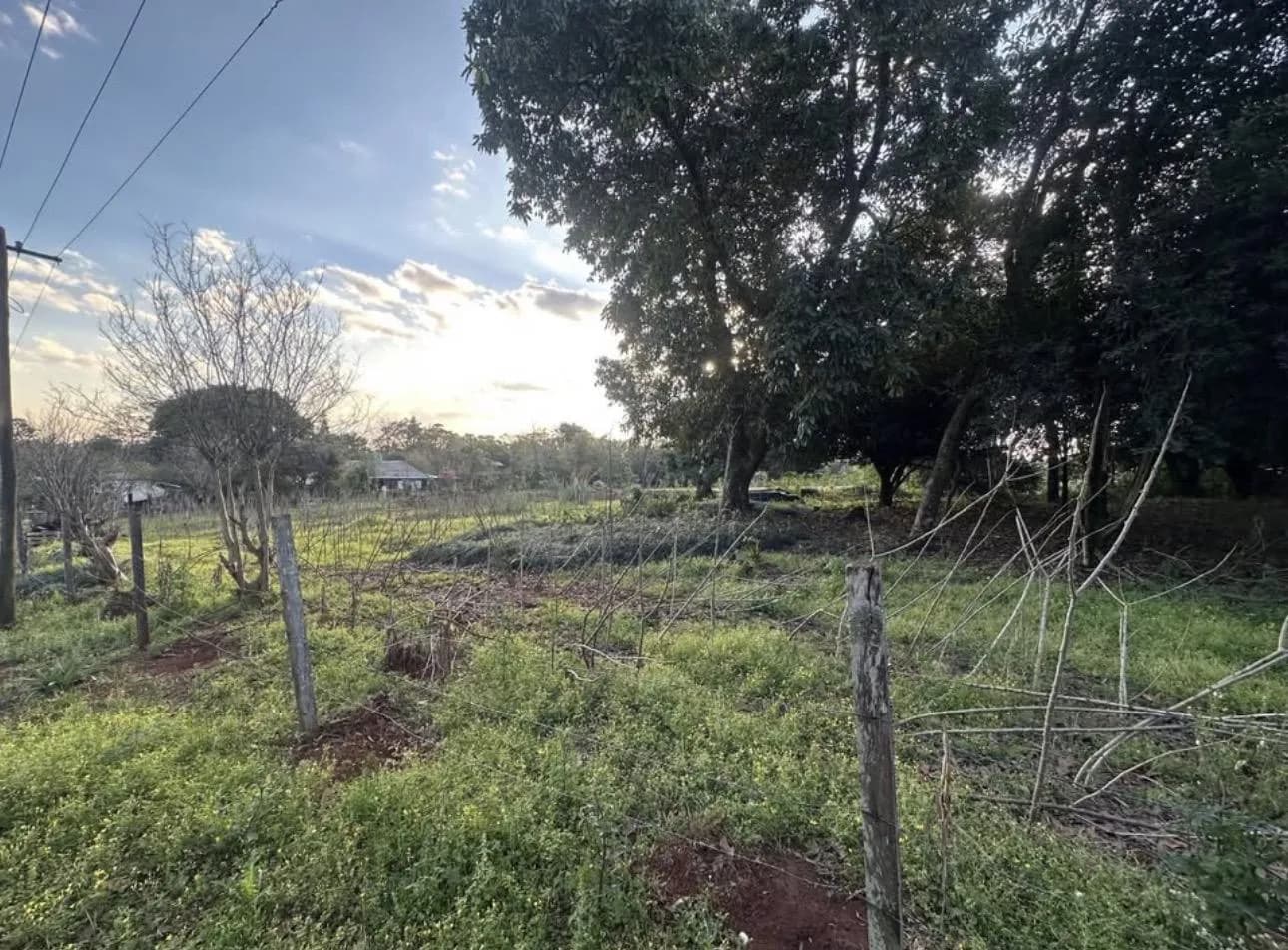 Terreno Sobre Ruta 14, Dos de Mayo, Misiones