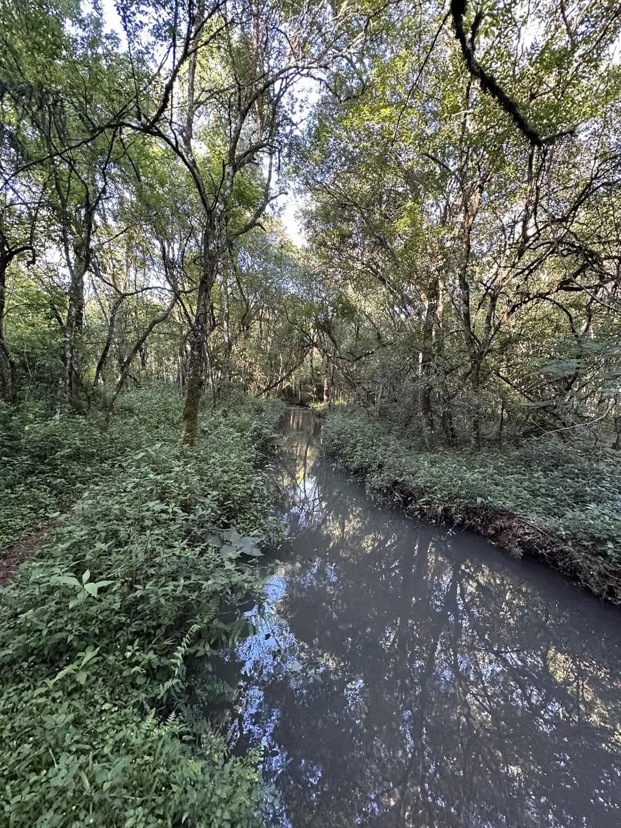 En Venta Chacra de 22,5 ha, en el km 50, Ruta 14, San Vicente, Misiones con Arroyo
