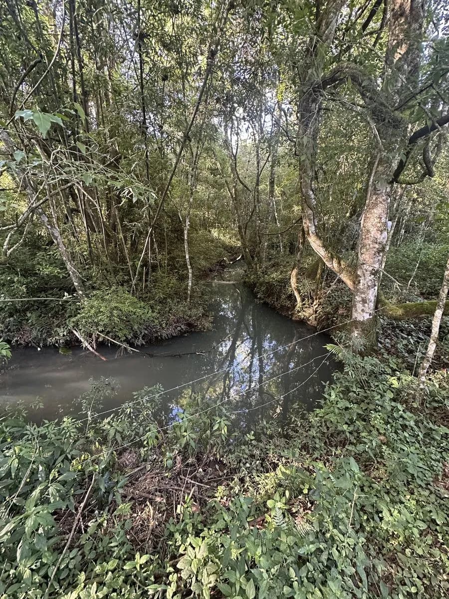 En Venta Chacra de 22,5 ha, en el km 50, Ruta 14, San Vicente, Misiones con Arroyo