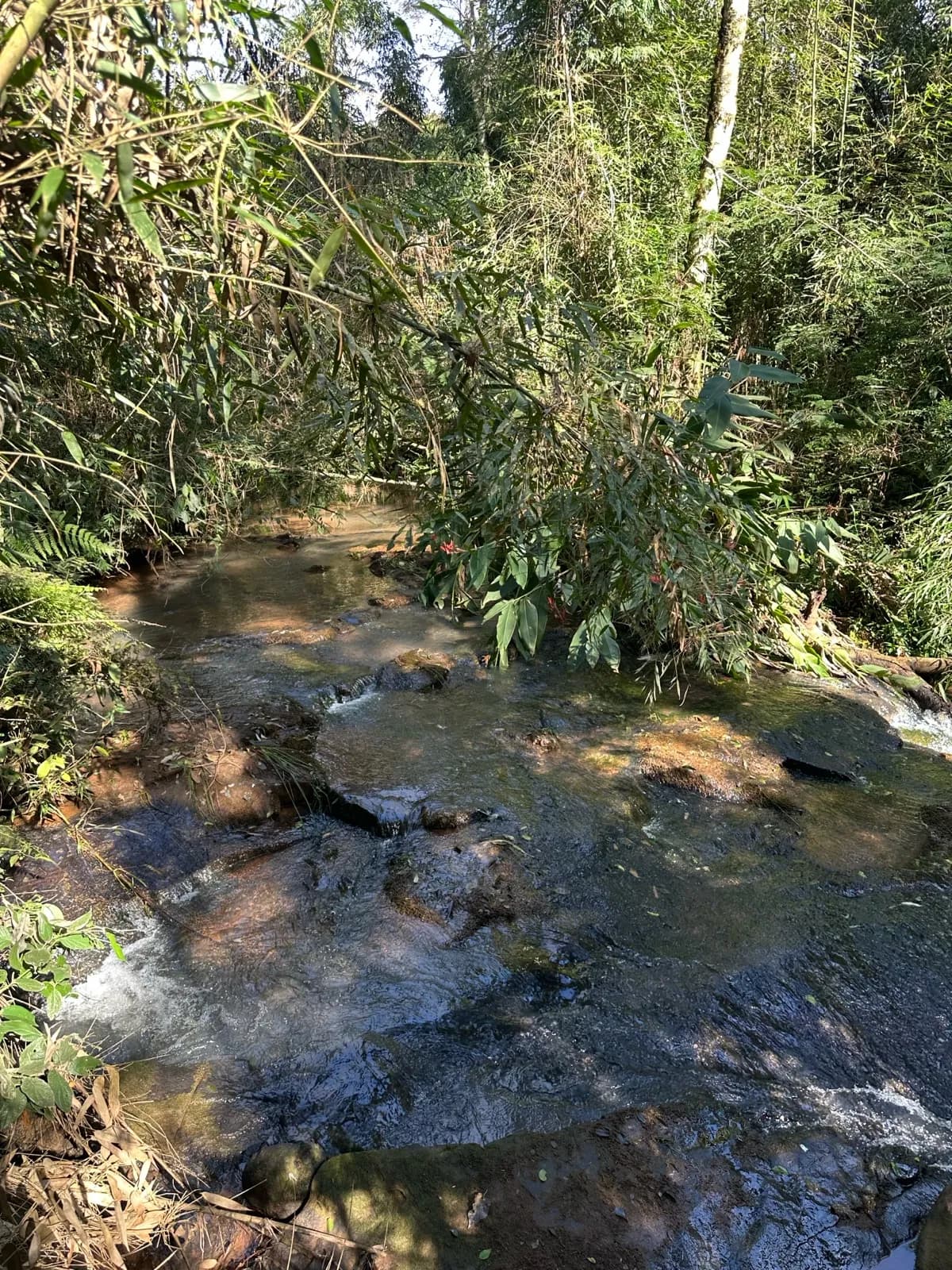 Chacra de 36 ha, Km 74, Ruta 14, San Vicente