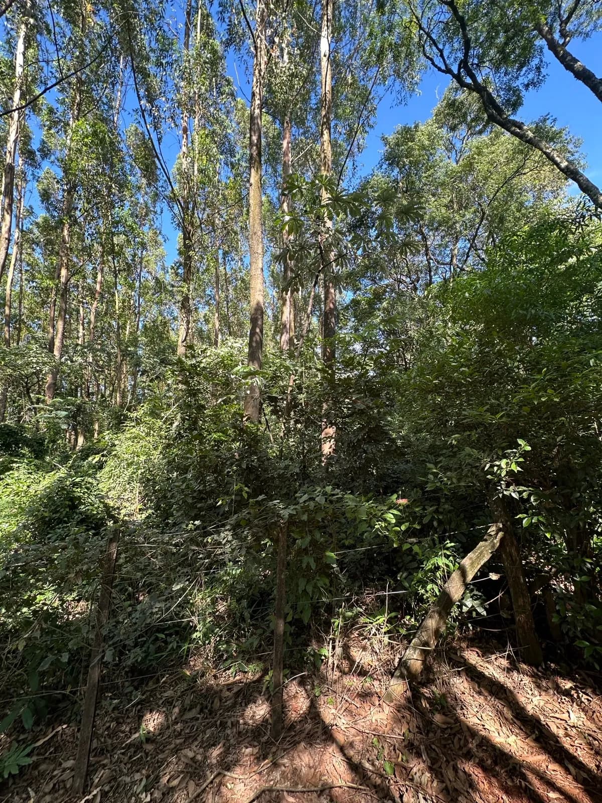 En Venta 1 Hectarea Comercial sobre Ruta 14, ingreso de San Vicente, Misiones