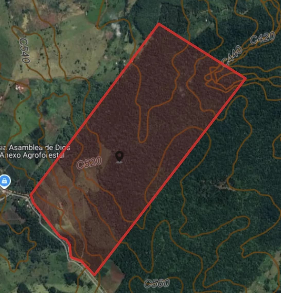 En Venta Chacra de 178 hectareas, km 78, Ruta 14, San Vicente, Misiones