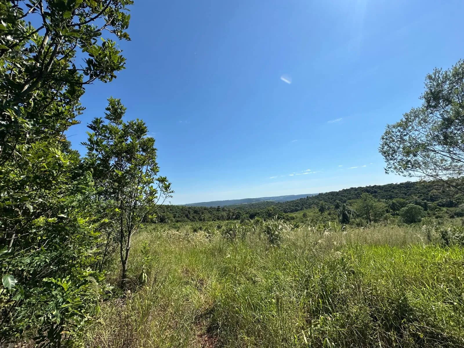 En Venta Chacra de 178 hectareas, km 78, Ruta 14, San Vicente, Misiones