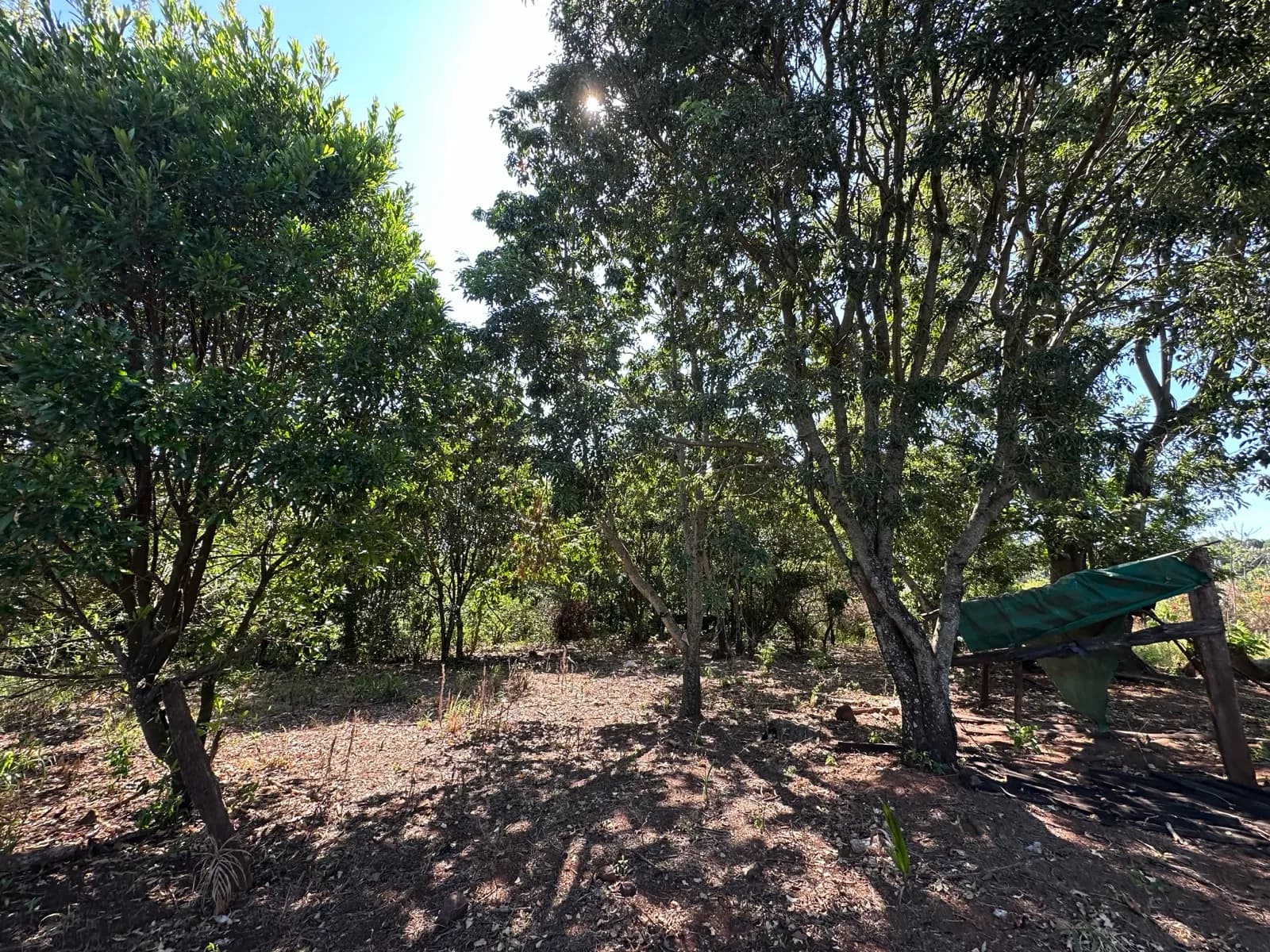 En Venta Chacra de 178 hectareas, km 78, Ruta 14, San Vicente, Misiones