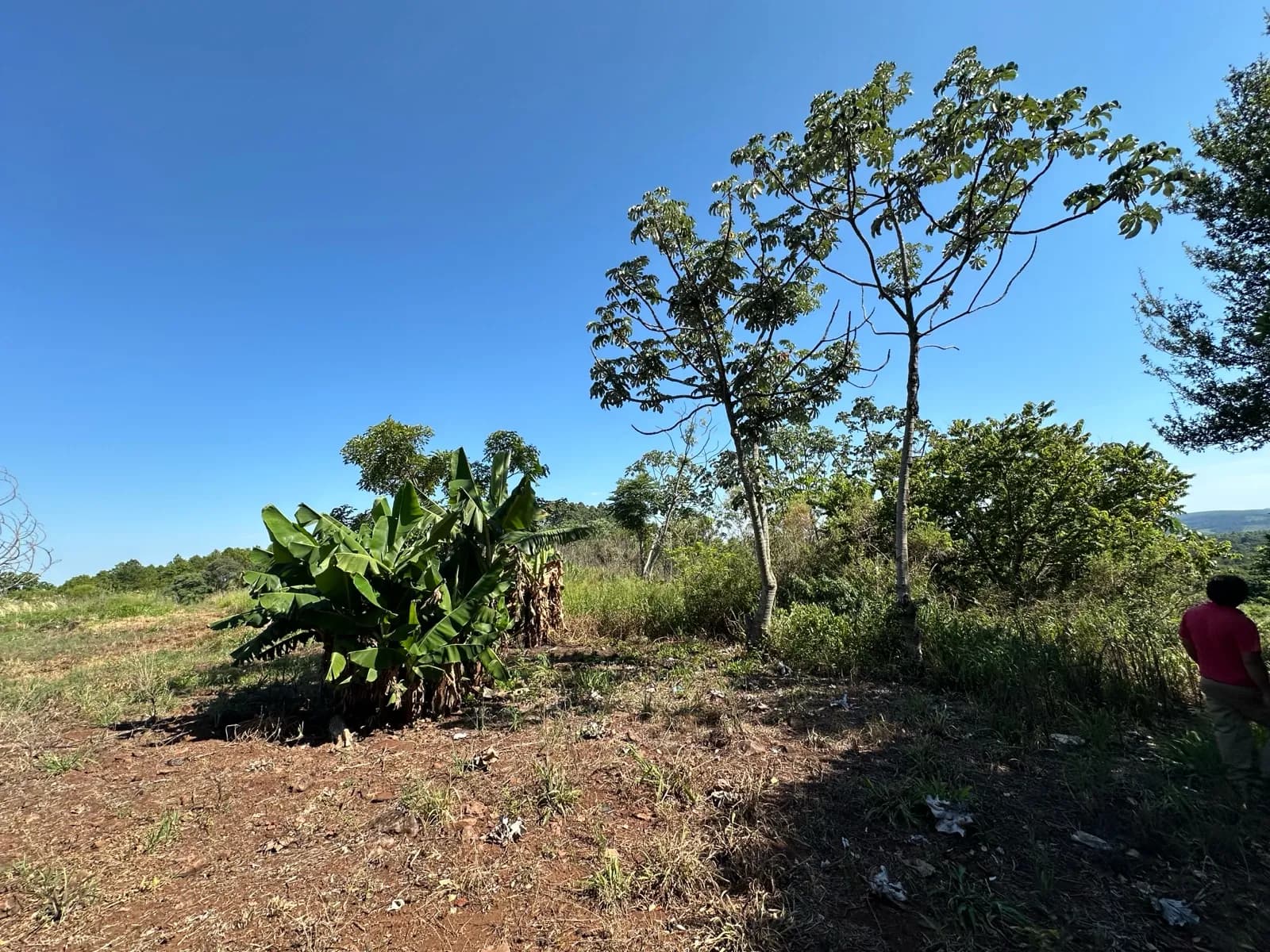 En Venta Chacra de 178 hectareas, km 78, Ruta 14, San Vicente, Misiones