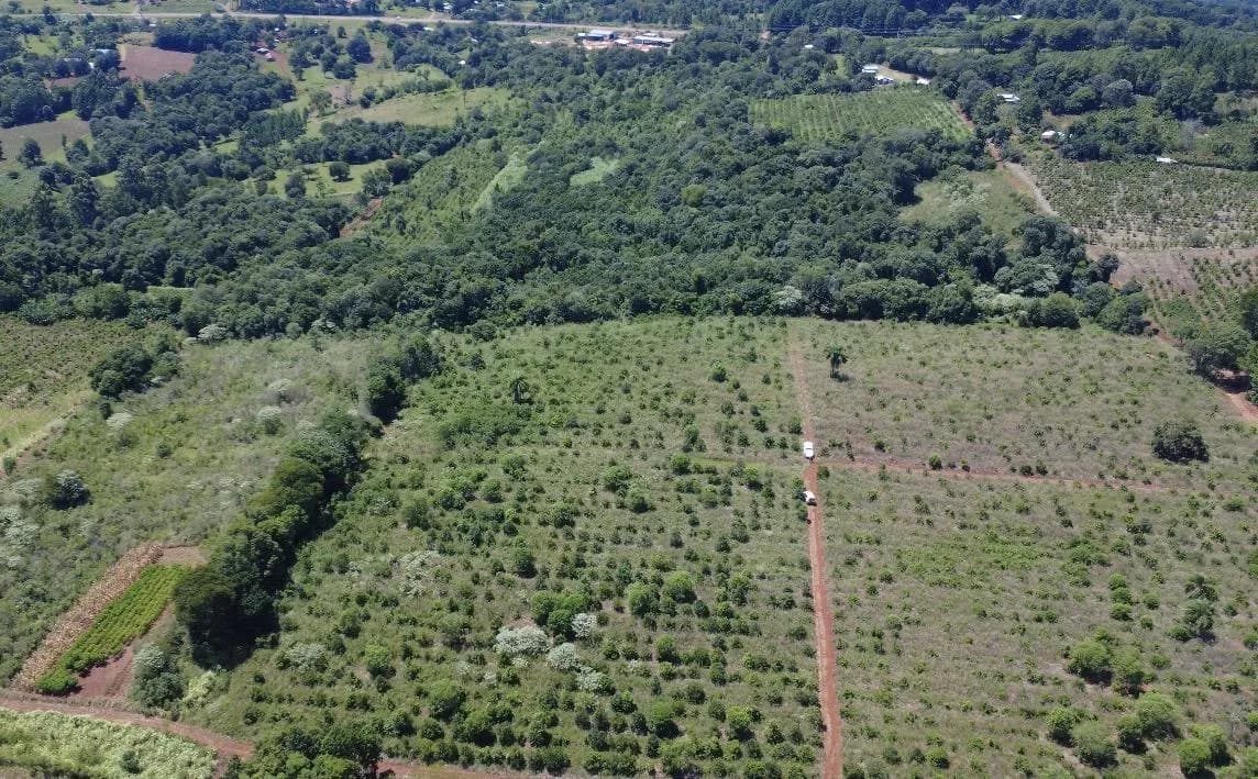 En Venta Chacra 27 ha con yerba mate en produccion, Km 74, San Vicente, Misiones
