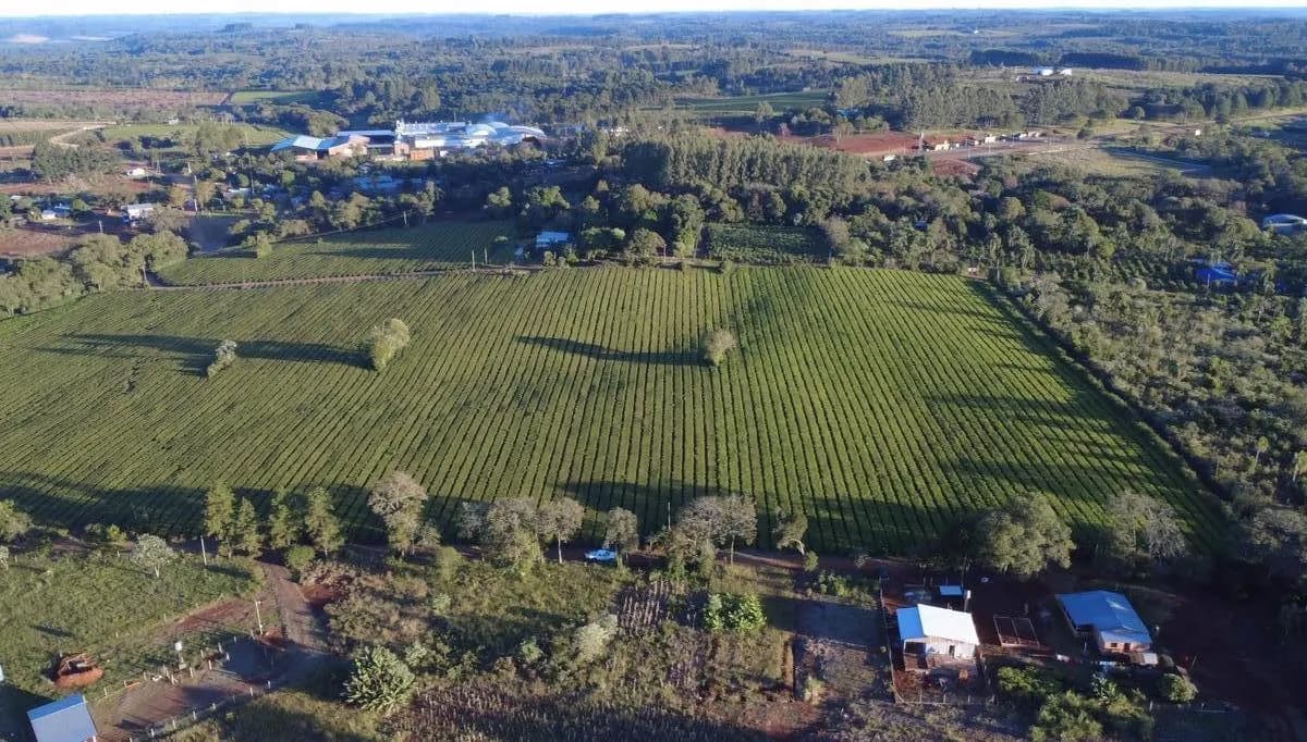 En Venta Chacra de 1,8 ha a metros de la Ruta 14 en San Vicente, Misiones