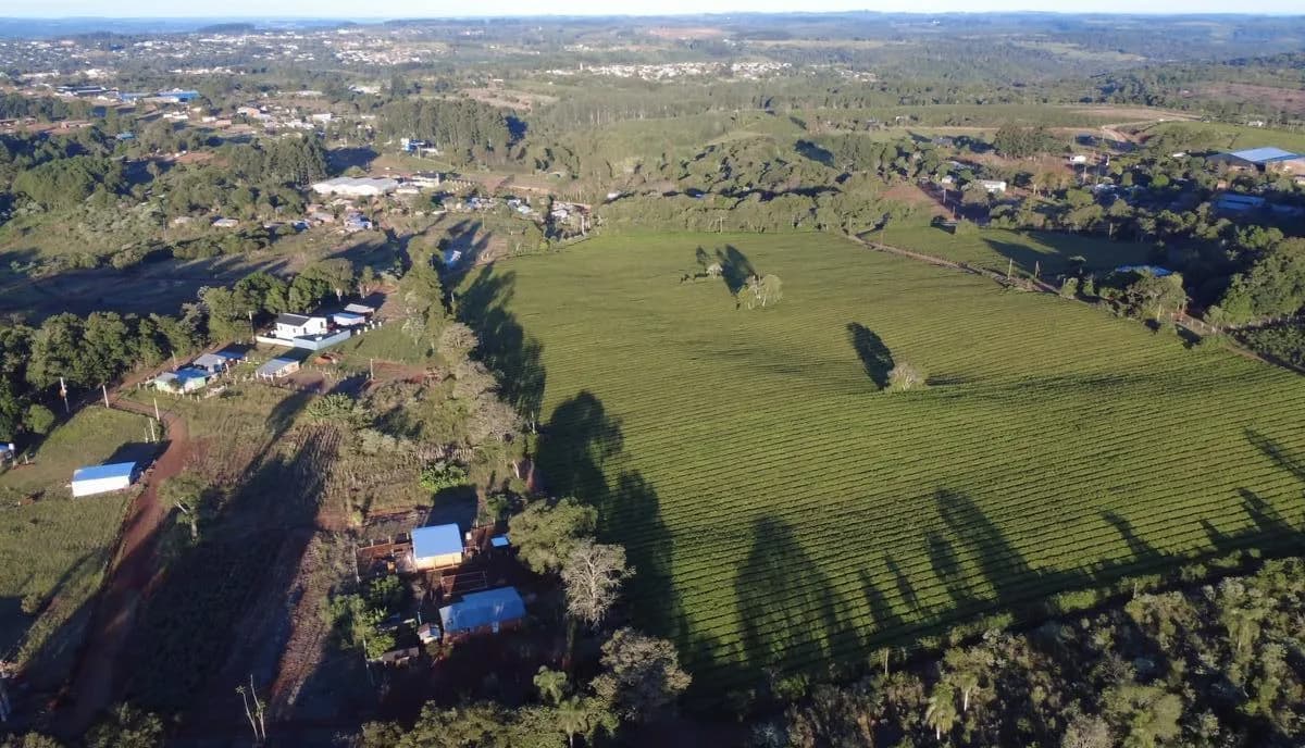 En Venta Chacra de 1,8 ha a metros de la Ruta 14 en San Vicente, Misiones