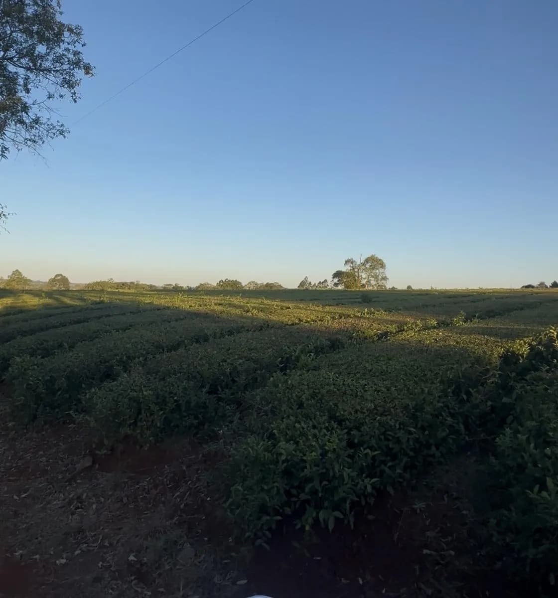 En Venta Chacra de 1,8 ha a metros de la Ruta 14 en San Vicente, Misiones
