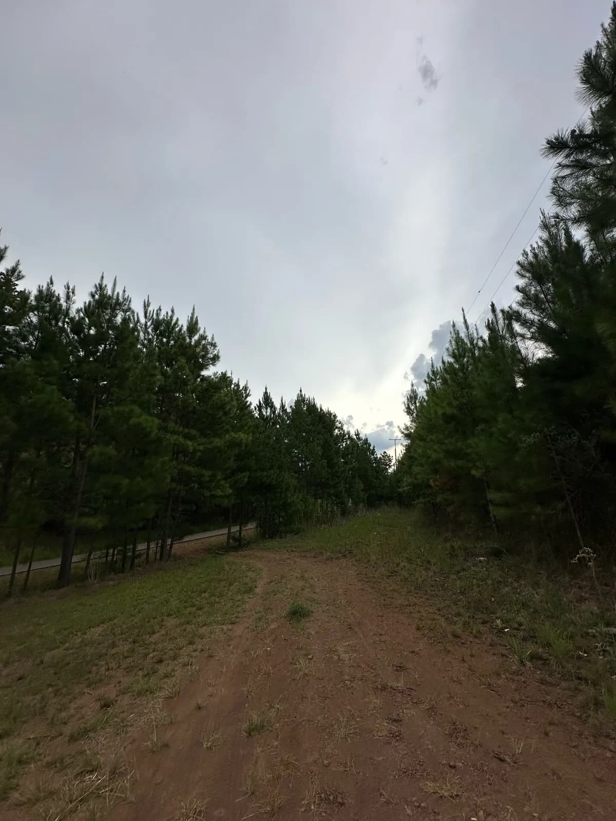 En Venta Chacra de 15 hectareas, Pegado al Parque Salto Encantado, Misiones