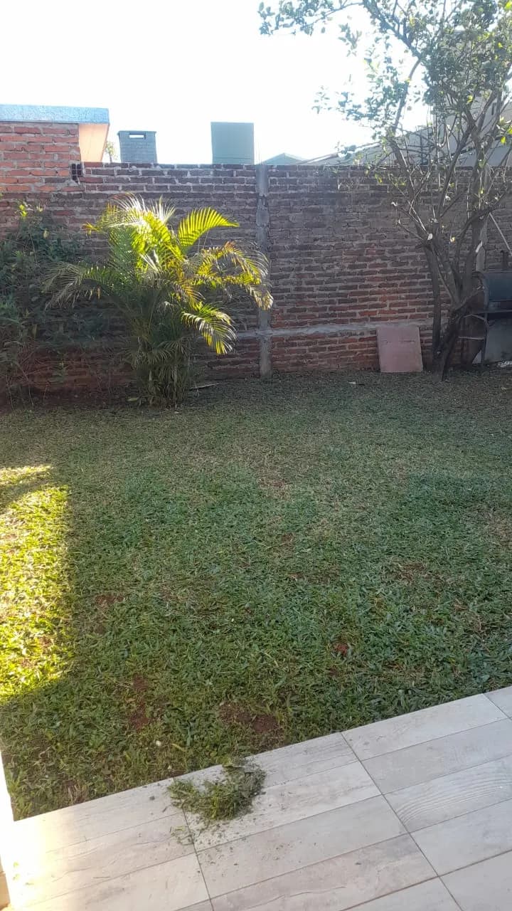 Amplio jardín verde con palmera
