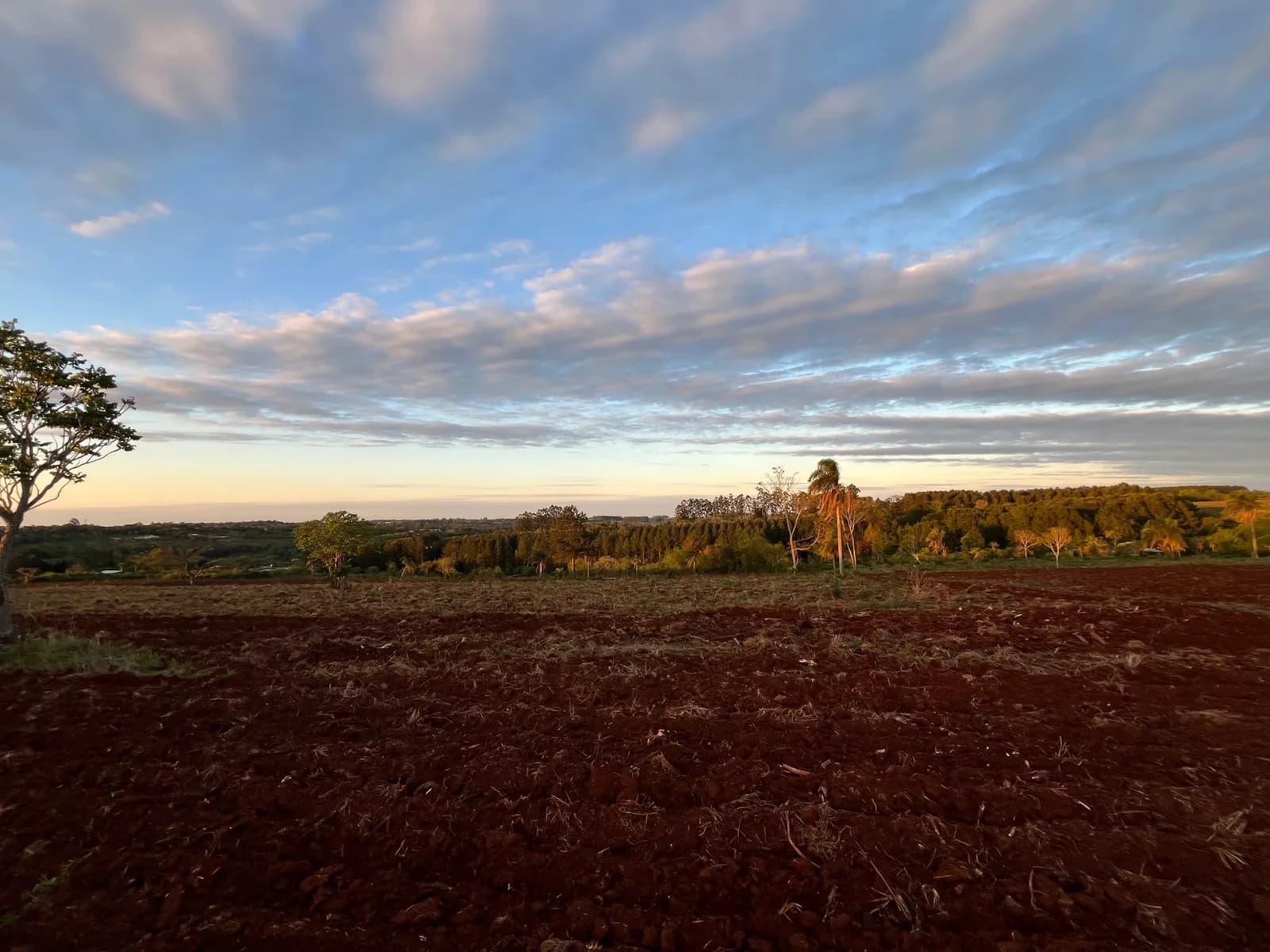 Amplio terreno agrícola con vistas panorámicas