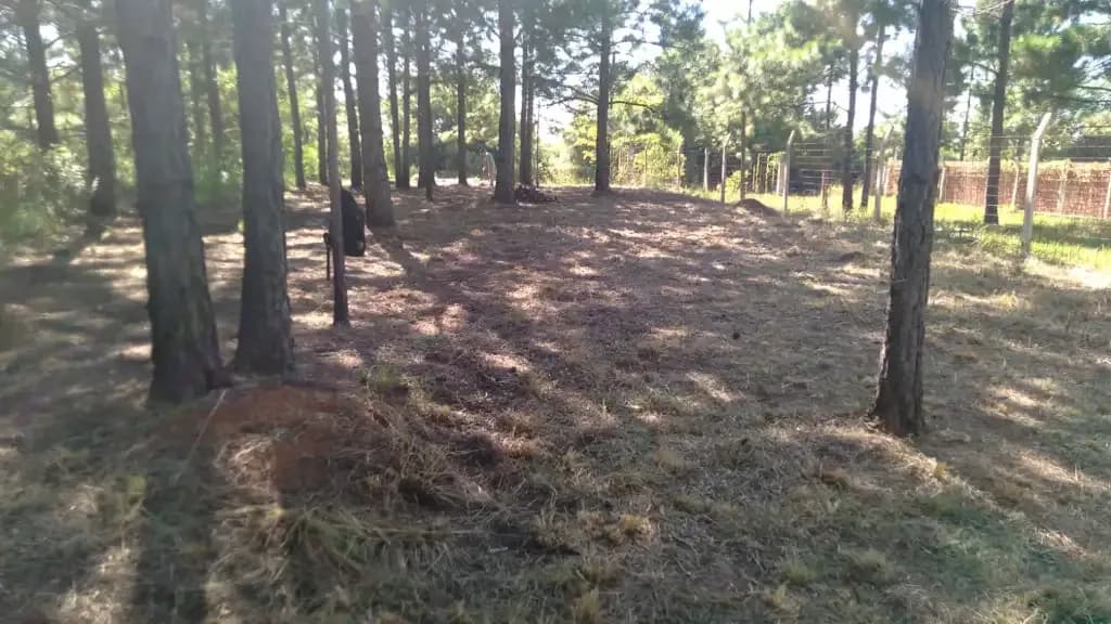 Terreno - Barrio del Lago