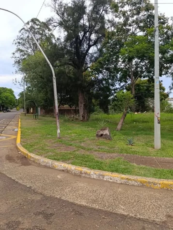 Terreno arbolado junto a la calle
