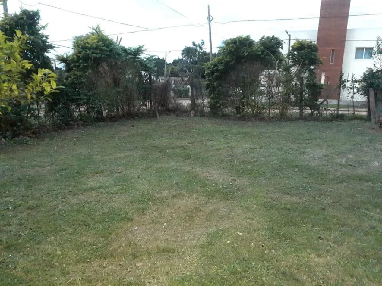 Amplio terreno de césped verde