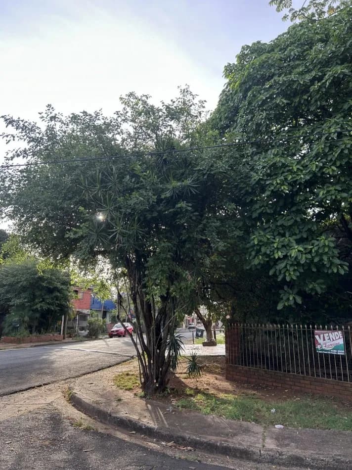 Propiedad arbolada con cartel de venta