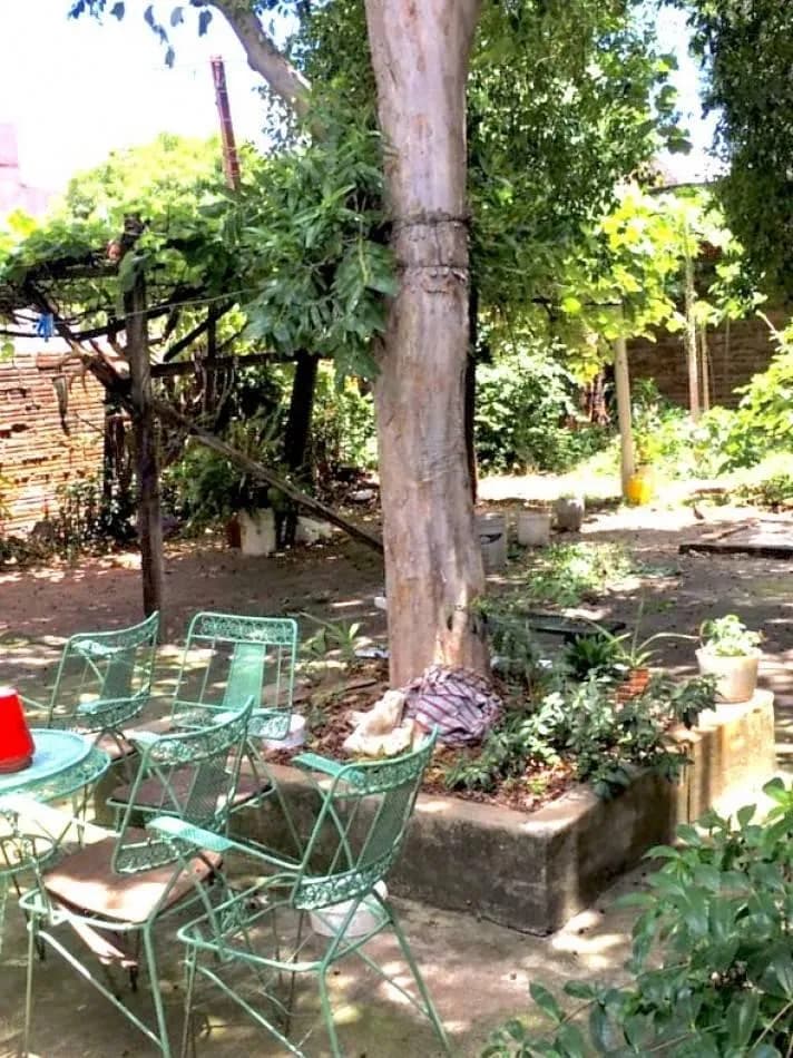 Patio arbolado con área de descanso