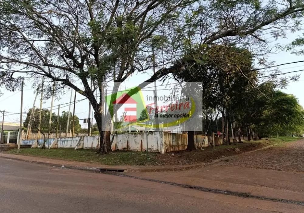 Terreno en esquina con árboles