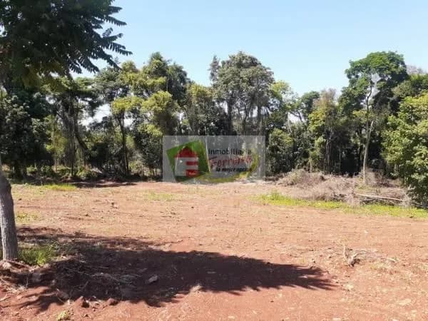 Terreno despejado rodeado de árboles