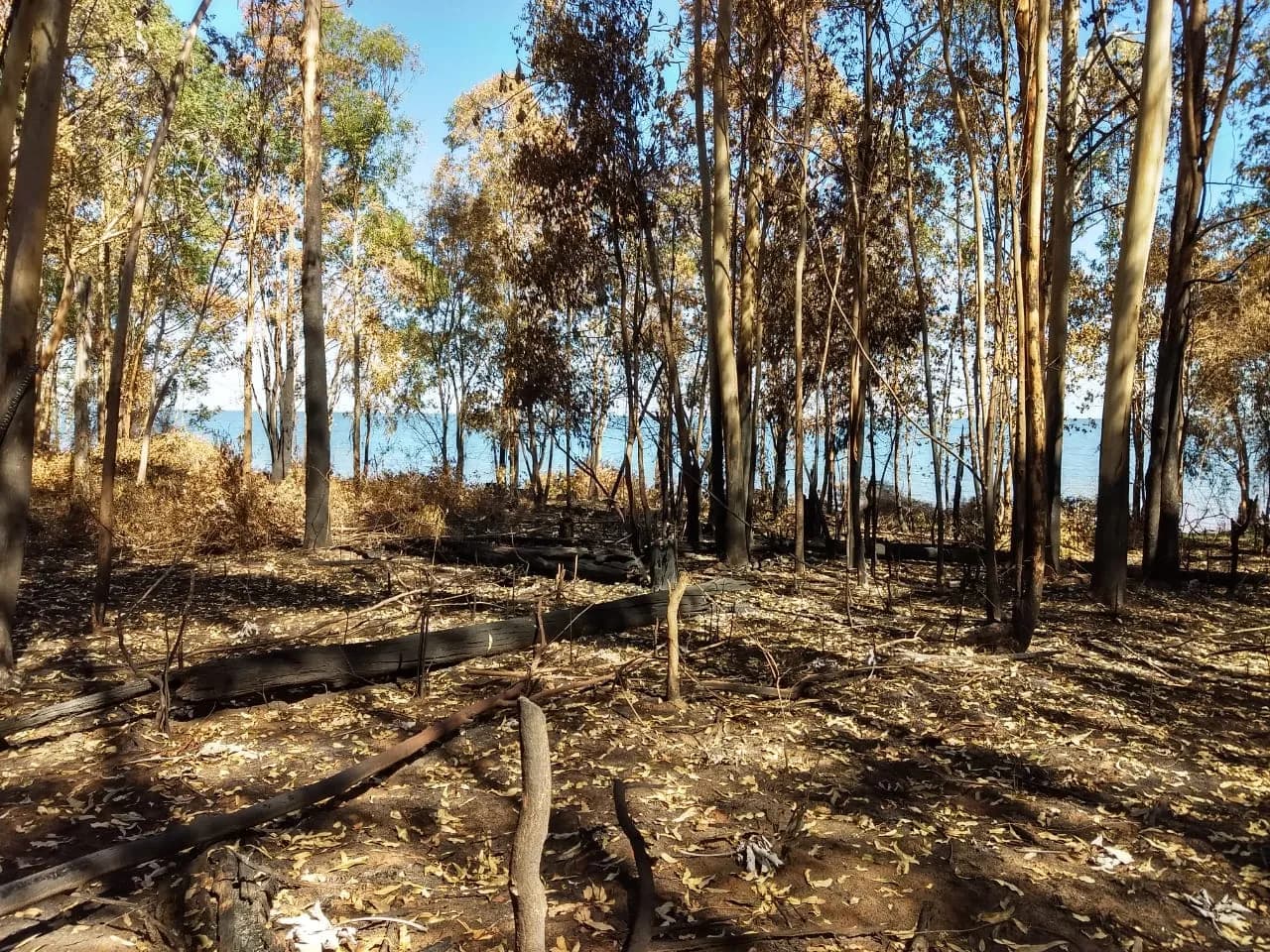 VENTA DE QUINTAS NÁUTICAS EN ESTANCIA LA NEGRA, ITUZAINGÓ