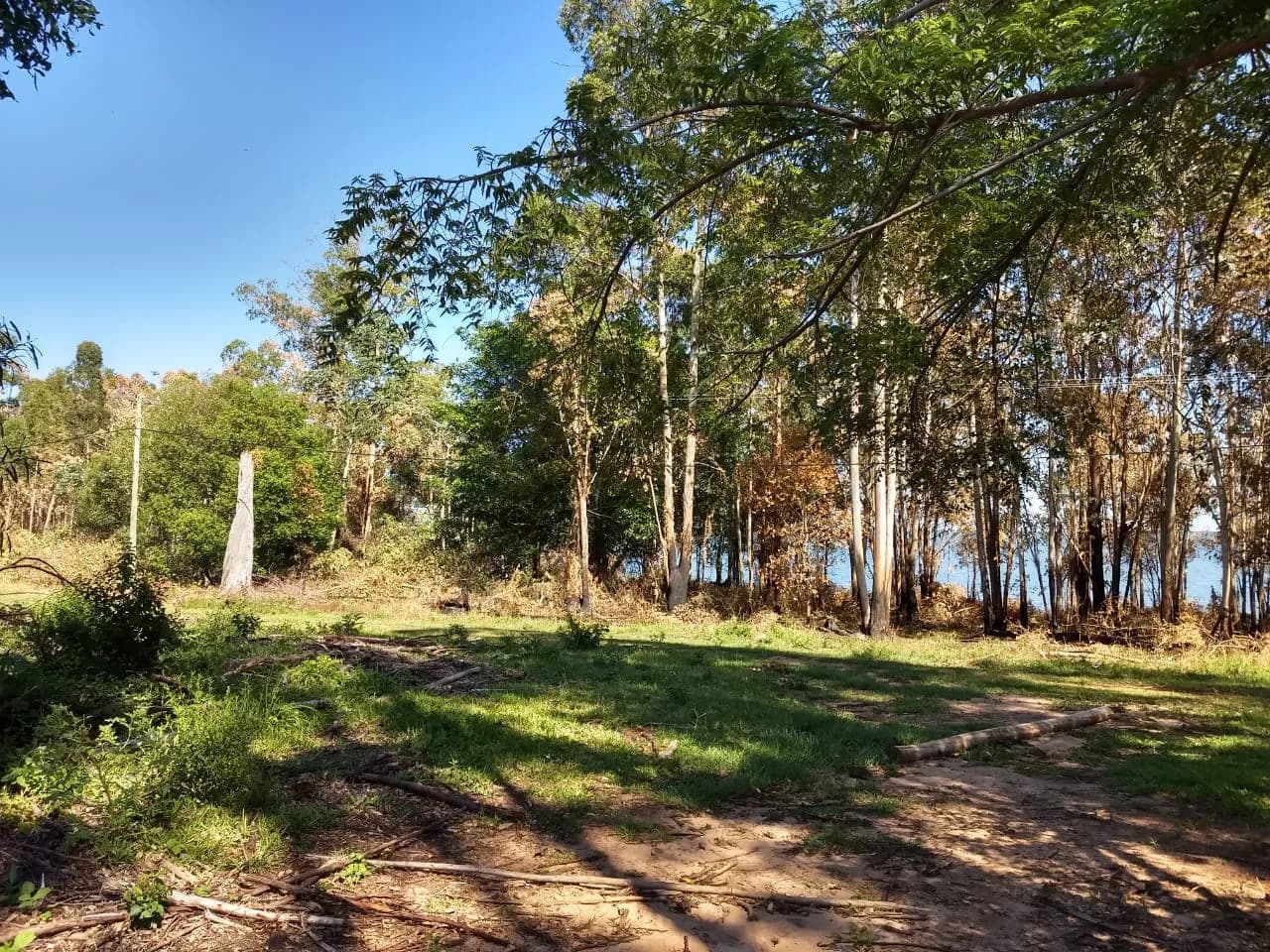 VENTA DE QUINTAS NÁUTICAS EN ESTANCIA LA NEGRA, ITUZAINGÓ
