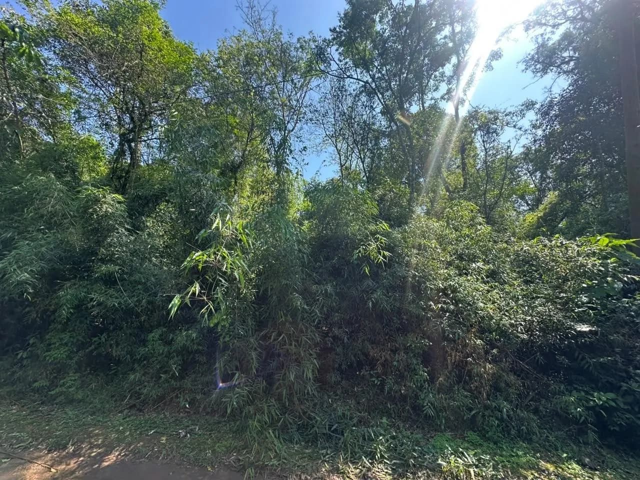 Terreno en venta