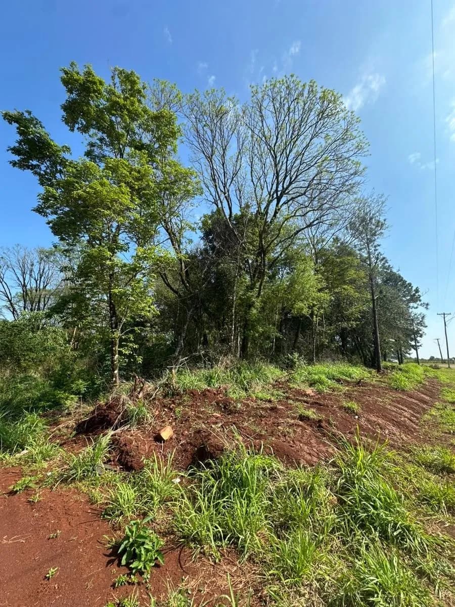 Terrenos en venta