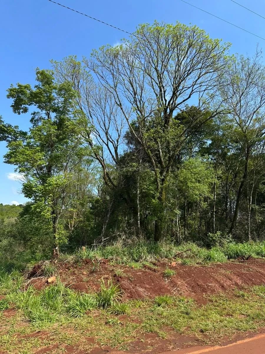 Terrenos en venta