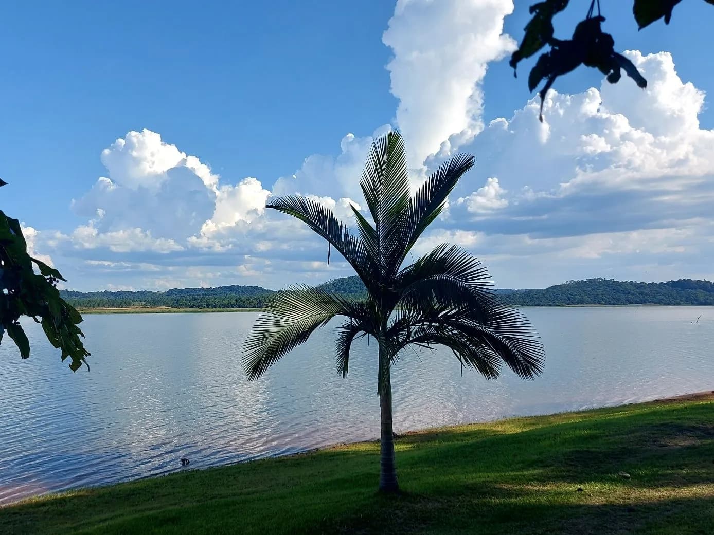 LOTE EN VENTA CON VISTAS UNICAS SOBRE EL AGUA